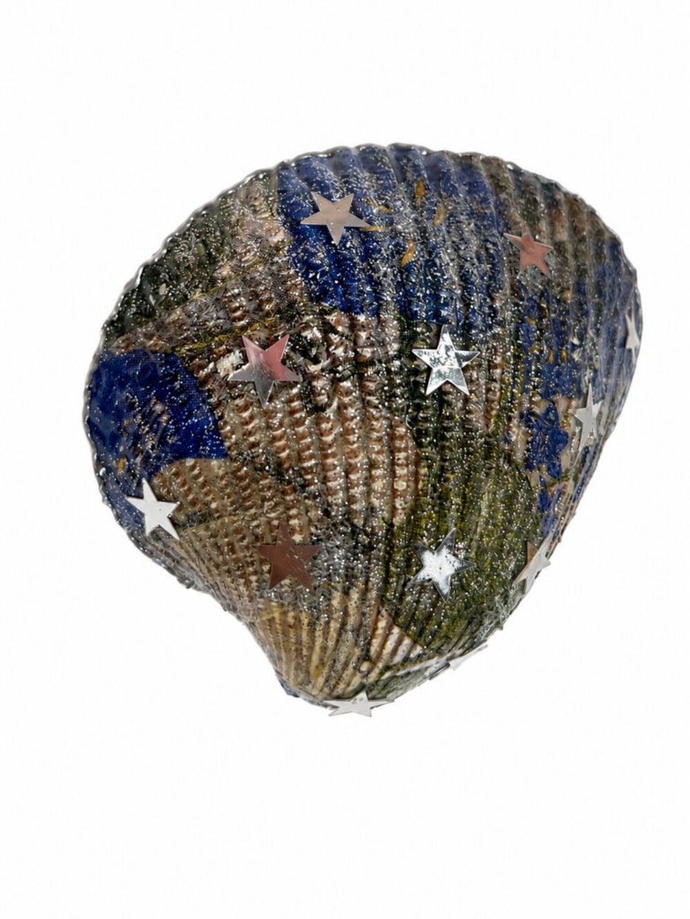 Hand-Painted Decorative Seashell | Mixed Media Coastal Decor | One-of-a-Kind